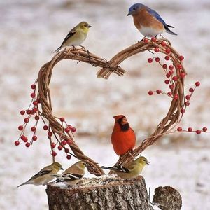 Meet your Posher, Gail